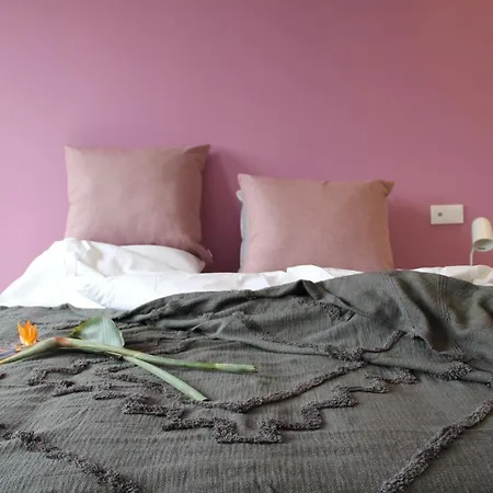 Quinta Do Fojo Valonguinho, Barro