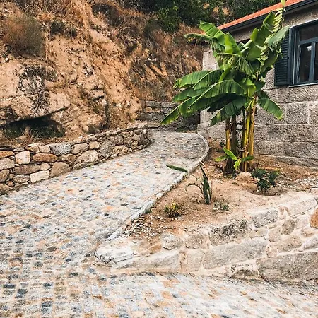 Quinta Do Fojo Valonguinho, Barro Oda ve Kahvaltı Barro (Vila Real)
