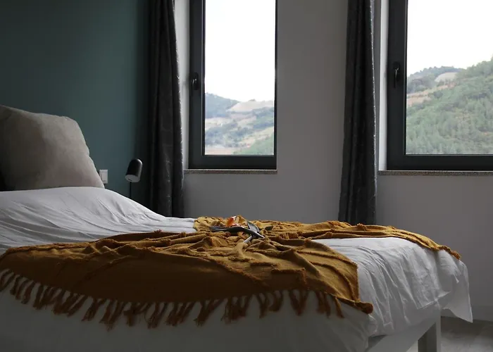 Quinta Do Fojo Valonguinho, Barro 3*