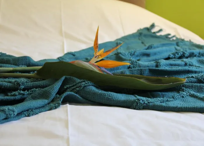 Quinta Do Fojo Valonguinho, Barro فندق مبيت وإفطار 3*